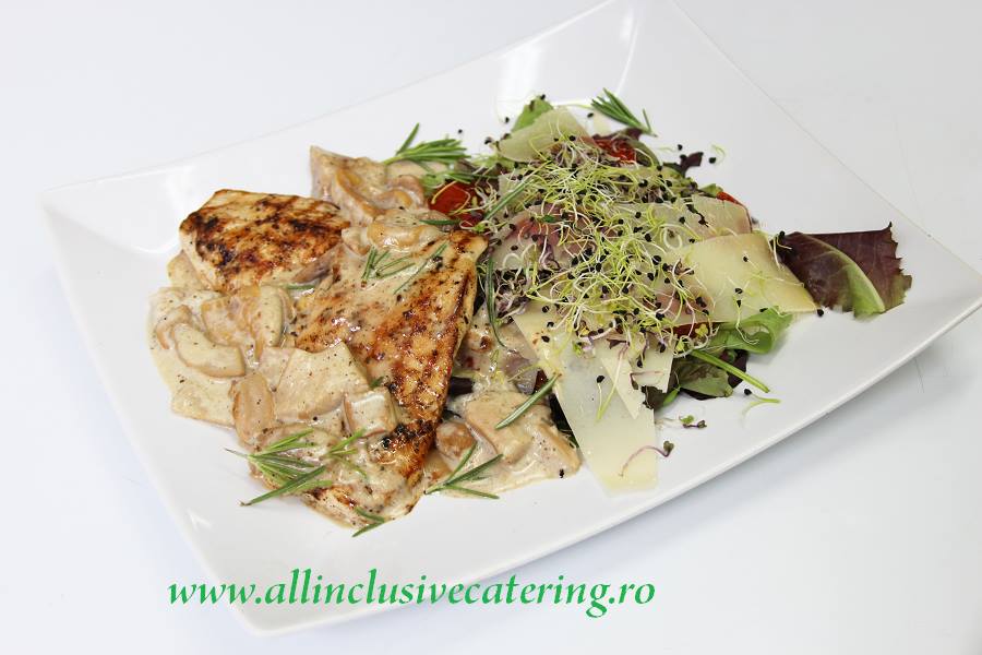 14800726_1175116615876615_225742345_n