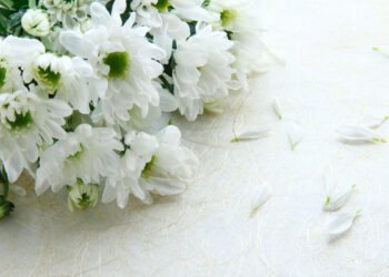 servicii funerare Bojescu – Bucuresti