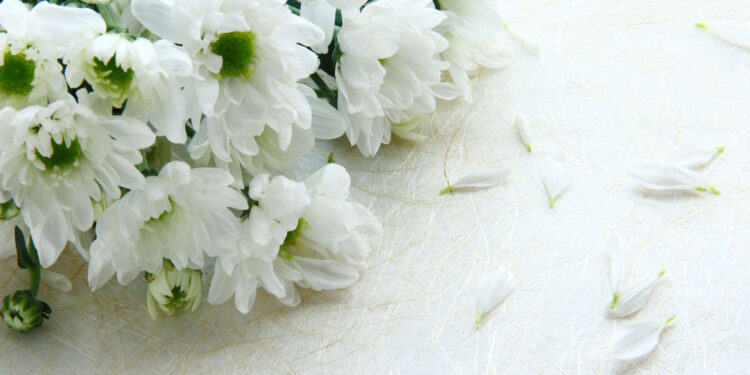 servicii funerare Bojescu – Bucuresti