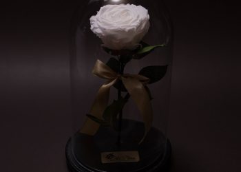 OKFlora