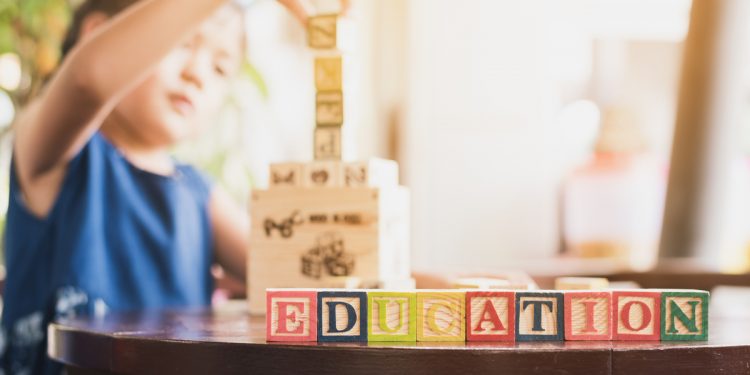 Novakid.ro semnalează importanța inițiativelor dedicate sustenabilității în rândul elevilor