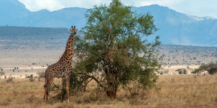 vacante exotice last minute