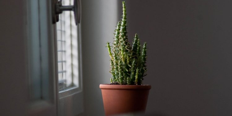 Cum să alegi m&acirc;nerele de ferestre potrivite pentru locuința ta?