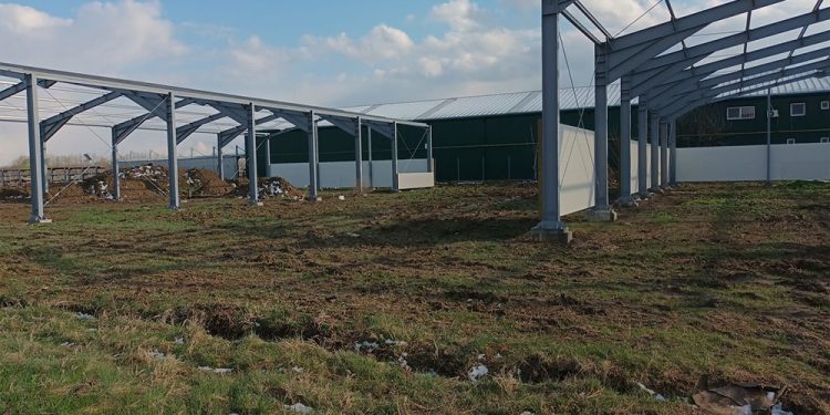 Hale metalice: O alegere ideală pentru locațiile de fast food